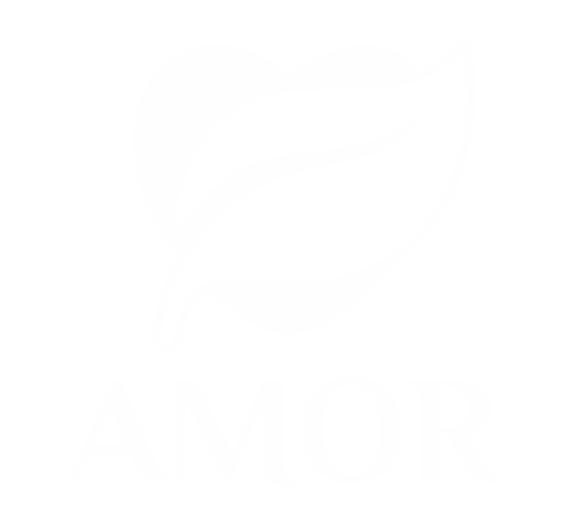 AMOR Nueces y Semillas